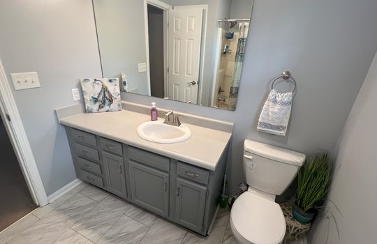 5993 Sycamore Forge Main Bedroom Bathroom 2