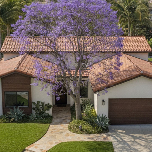 Planning for Assisted Living Placement in University City, San Diego, CA