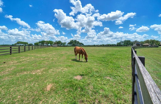 13457 Frantz Rd Cat Spring TX-large-090-123-Horse Patures and Fencing-1490&#215;1000-72dpi