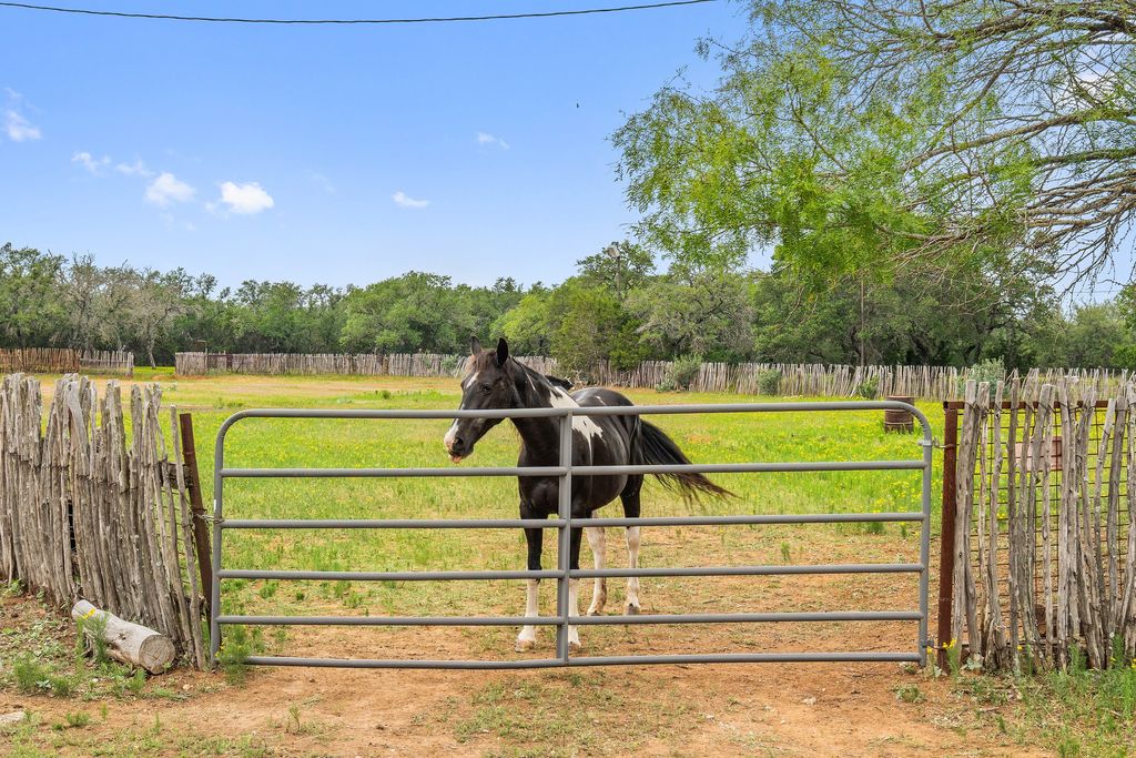 equestrian real estate austin, texas