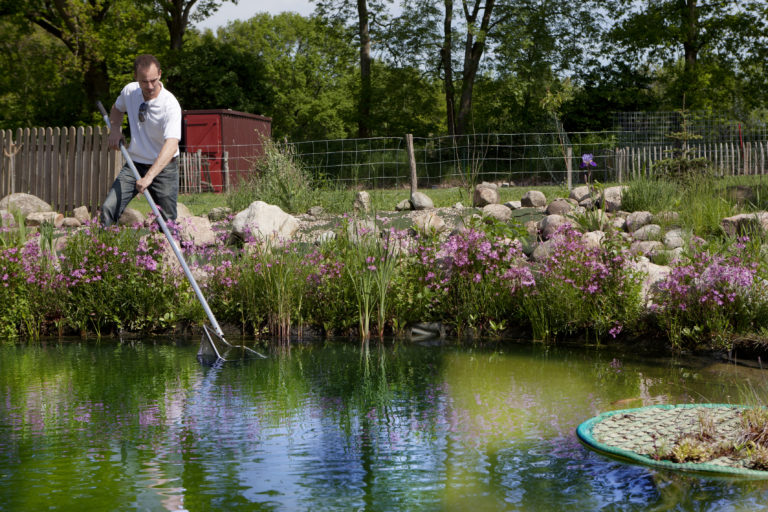 Creating a Pond on Your Property