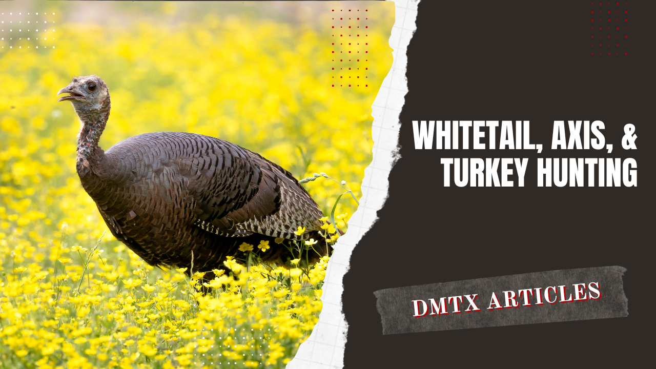 Whitetail, Axis, & Turkey Hunting in Texas