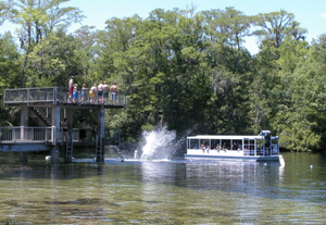 Swim platform at EDWARD BALL WAKULLA SPRINGS STATE PARK