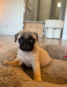 Screen Shot 2025-09-15 at 1.48.33 PM