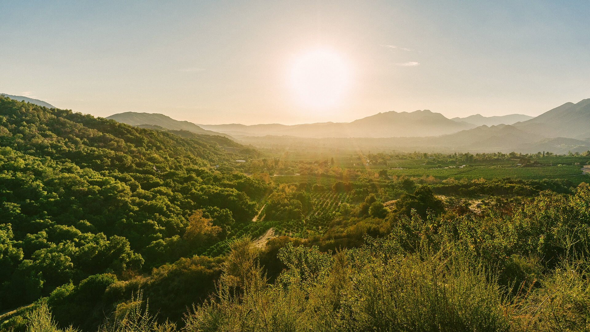 Ojai