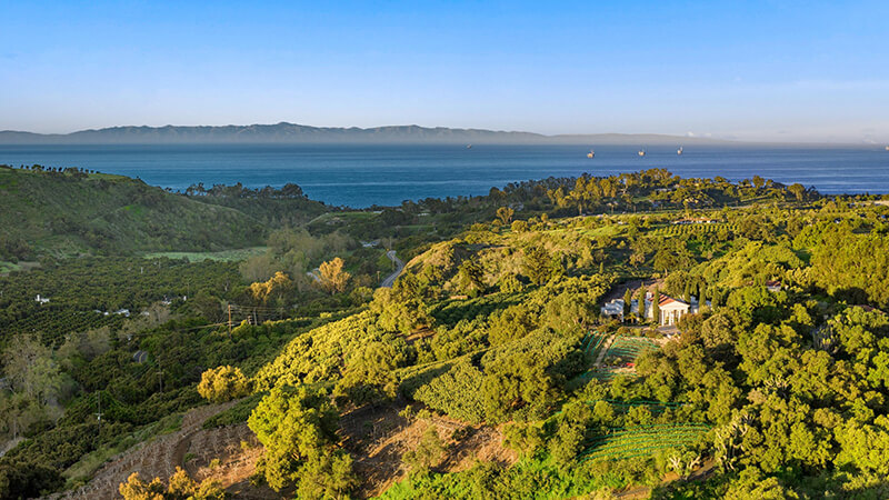 COTTAGES And GARDENS Featured Image