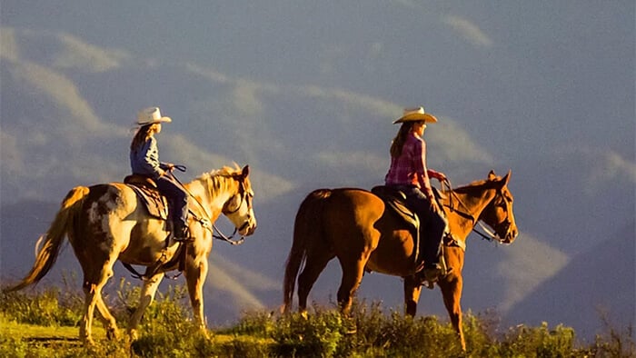 Equine - Vino Vaqueros