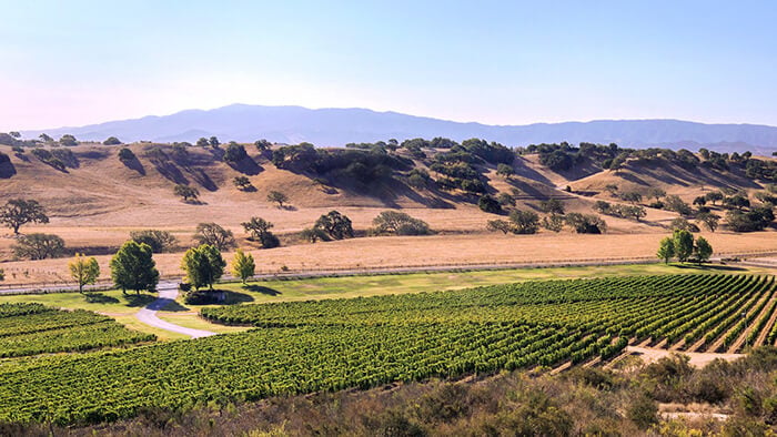 Rusack Winery