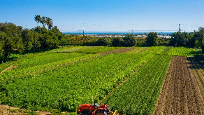 WORLD CLASS FARMING