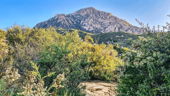 World Class Hiking