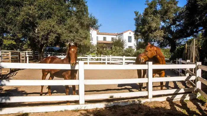 Equestrian Community