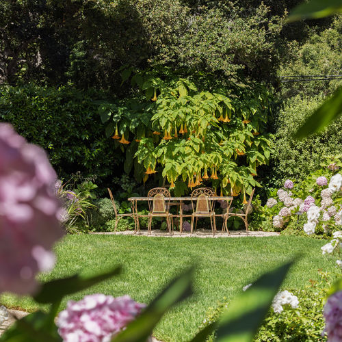 How's the Montecito Luxury Real Estate Market?