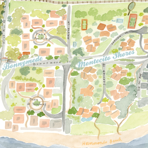 How's the Montecito Real Estate Market?