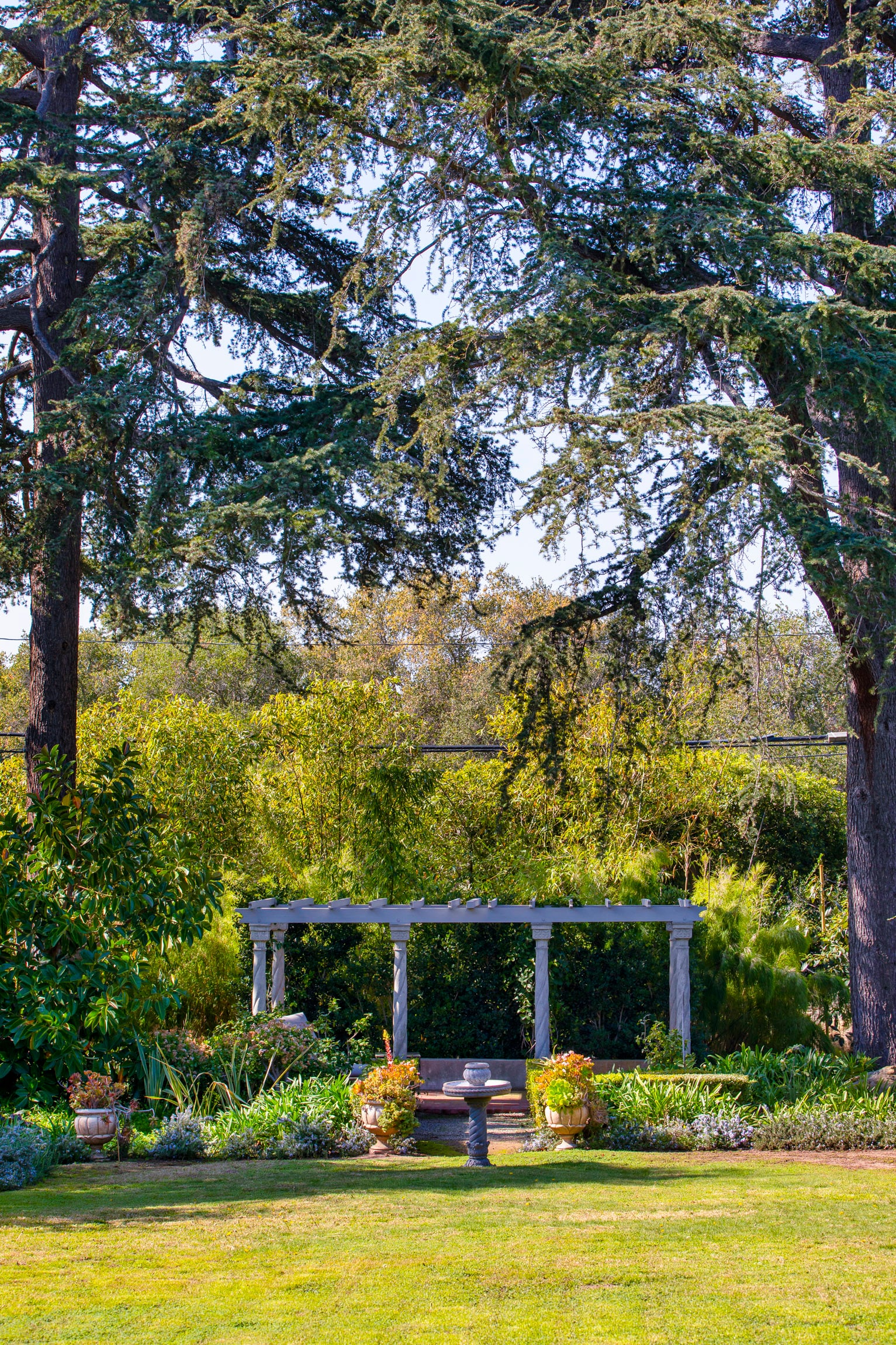 Fountain & trees