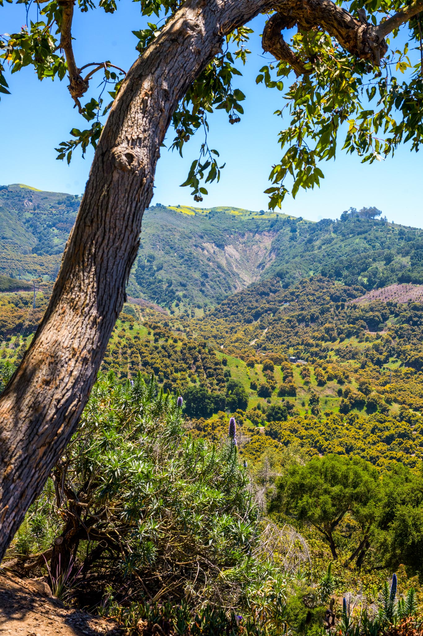 7200CasitasPassRd_0043