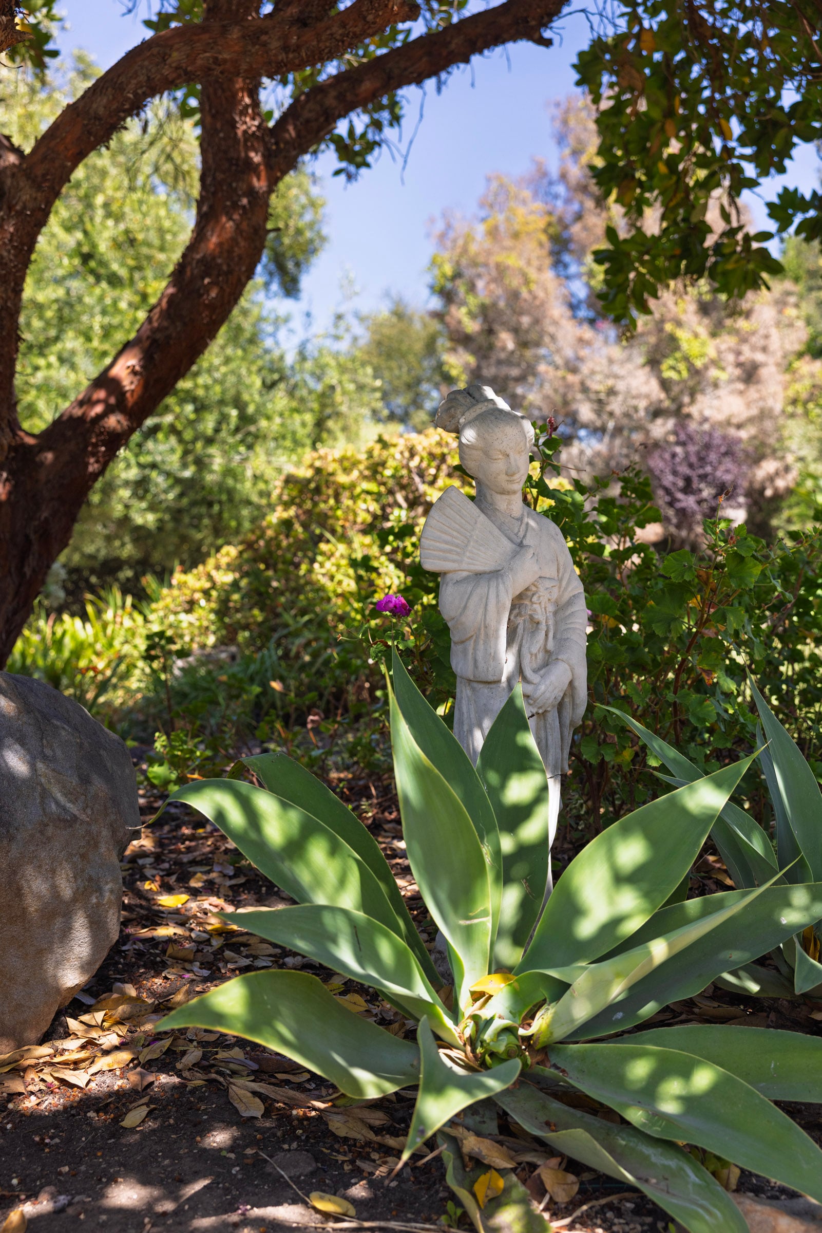 270 Toro Canyon_0014