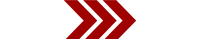 Disclosures icon
