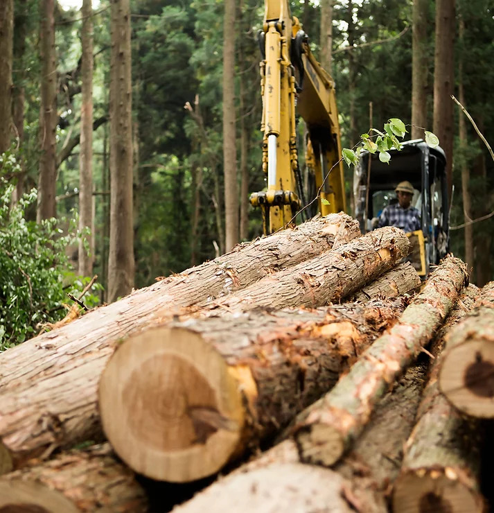 11062b_93d11429fe864fceb8b1a9f3c1ca53f2_mv2