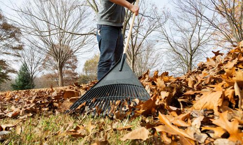 Denver's LeafDrop Program