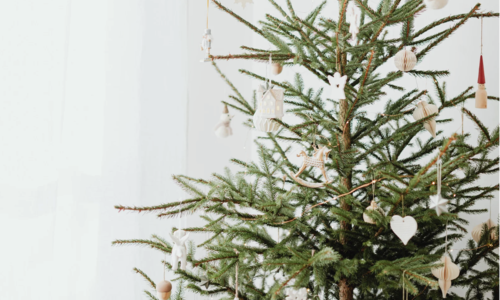 A Green Holiday Guide for Denver