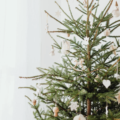 A Green Holiday Guide for Denver