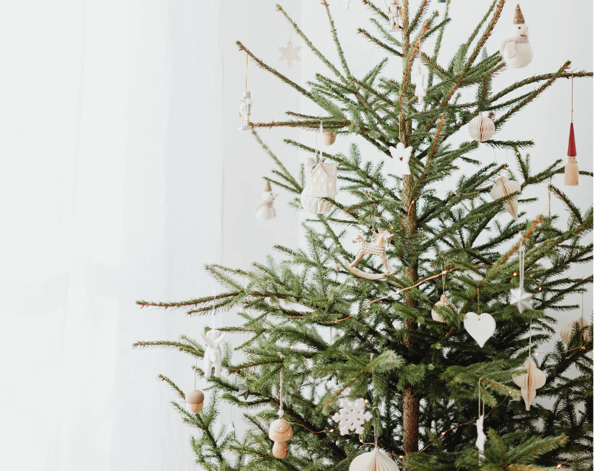 green sustainable christmas