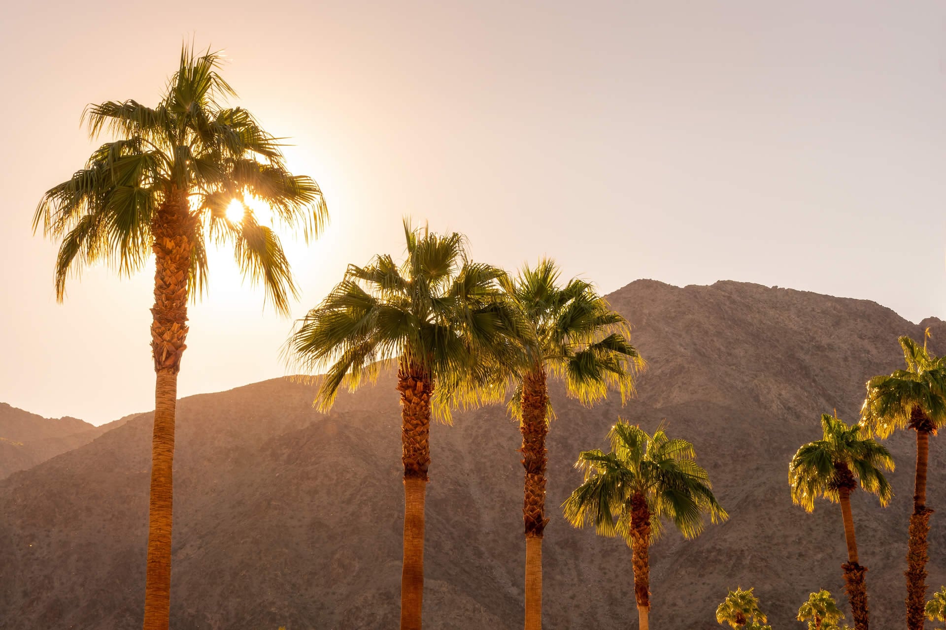 Palm Springs