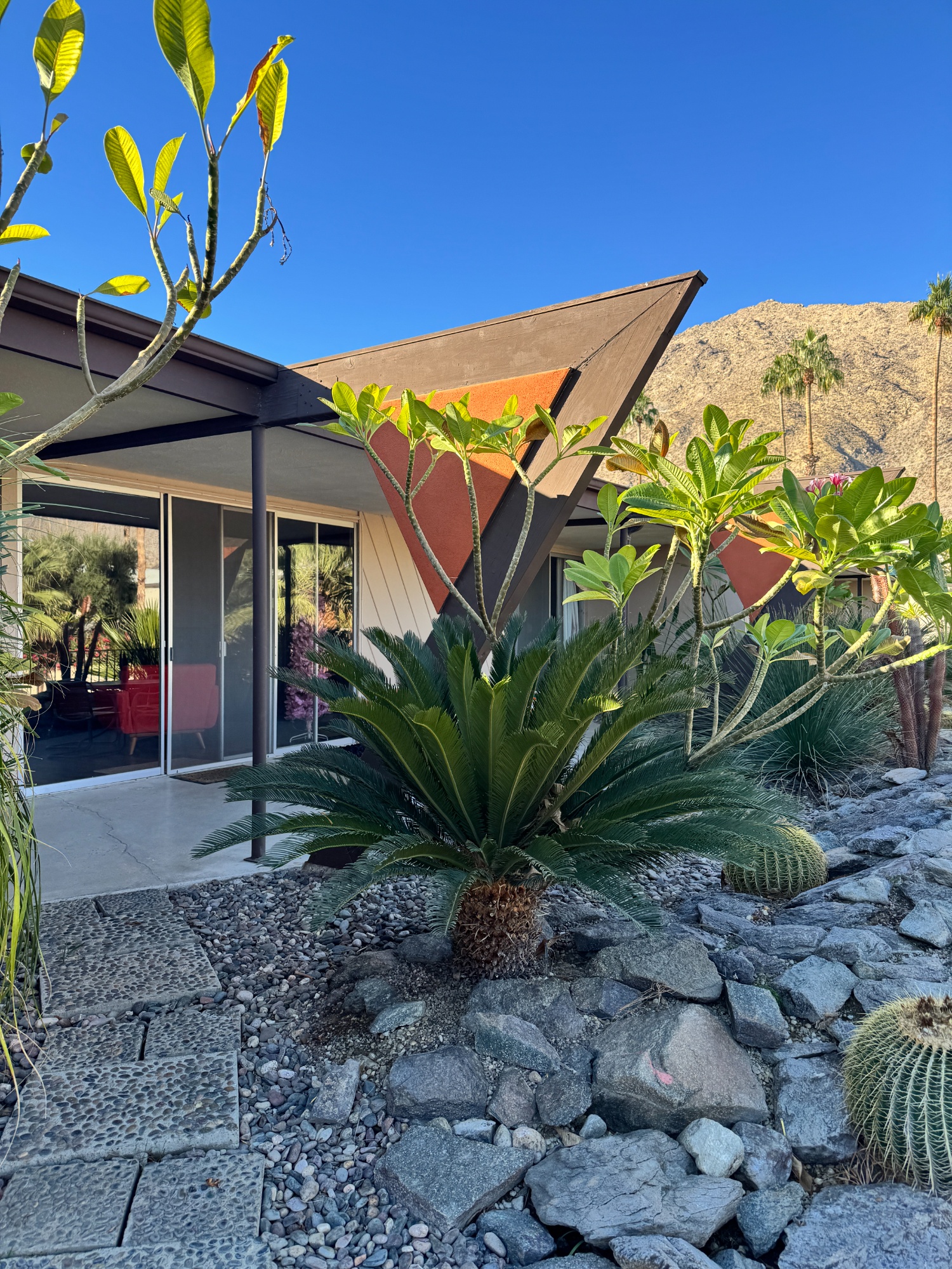 desert house with plants