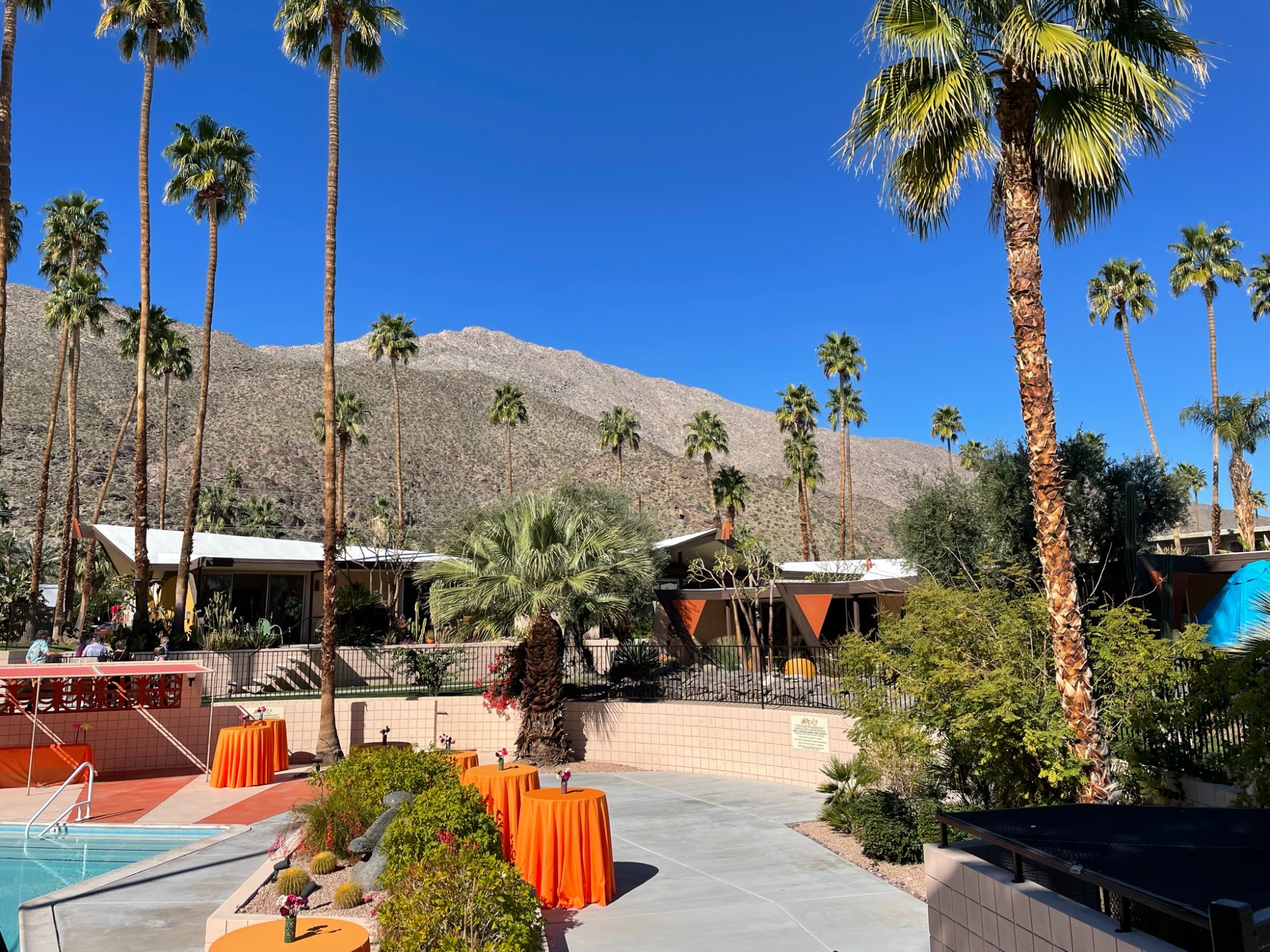 palm springs resort pool