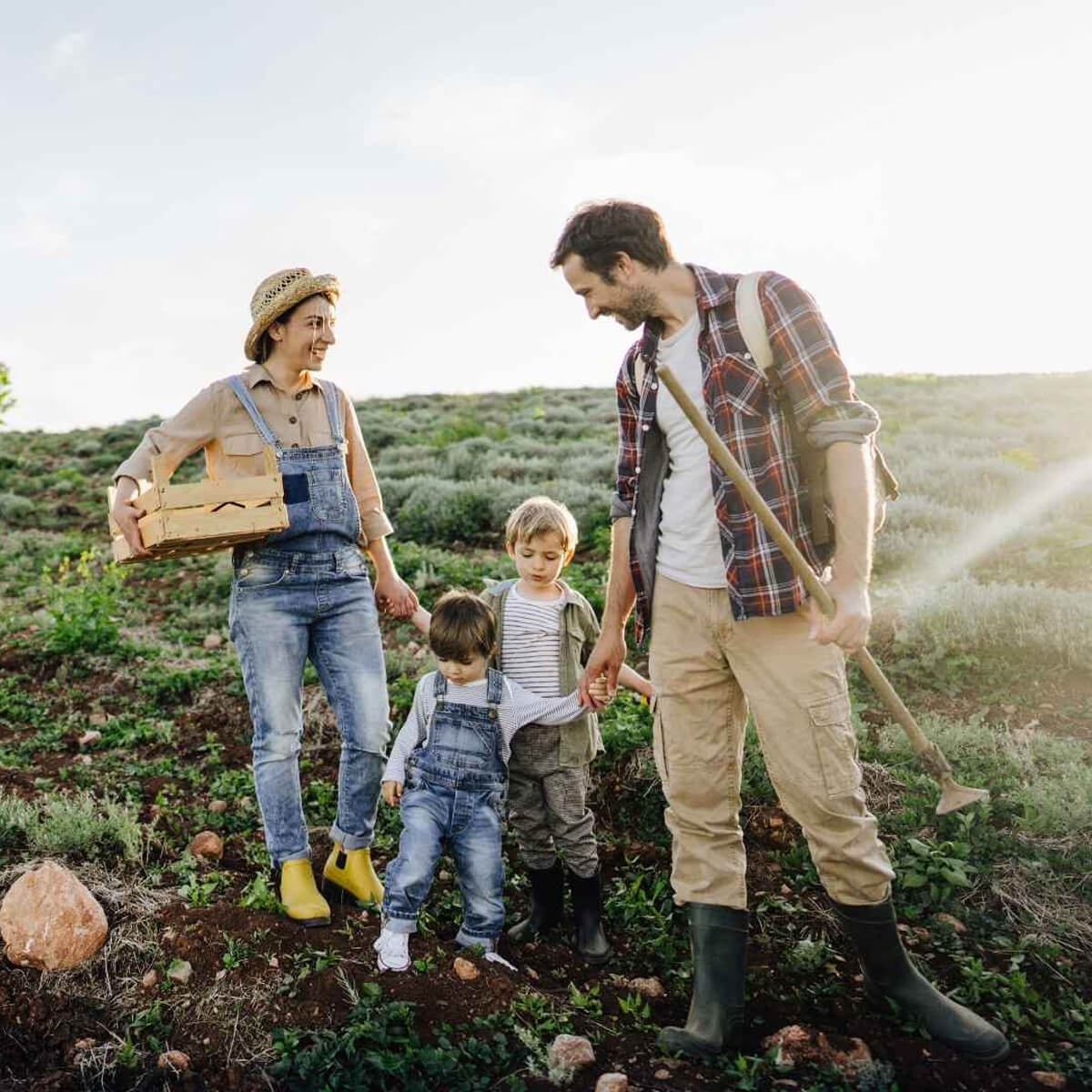 Cole Review Image 5(1)