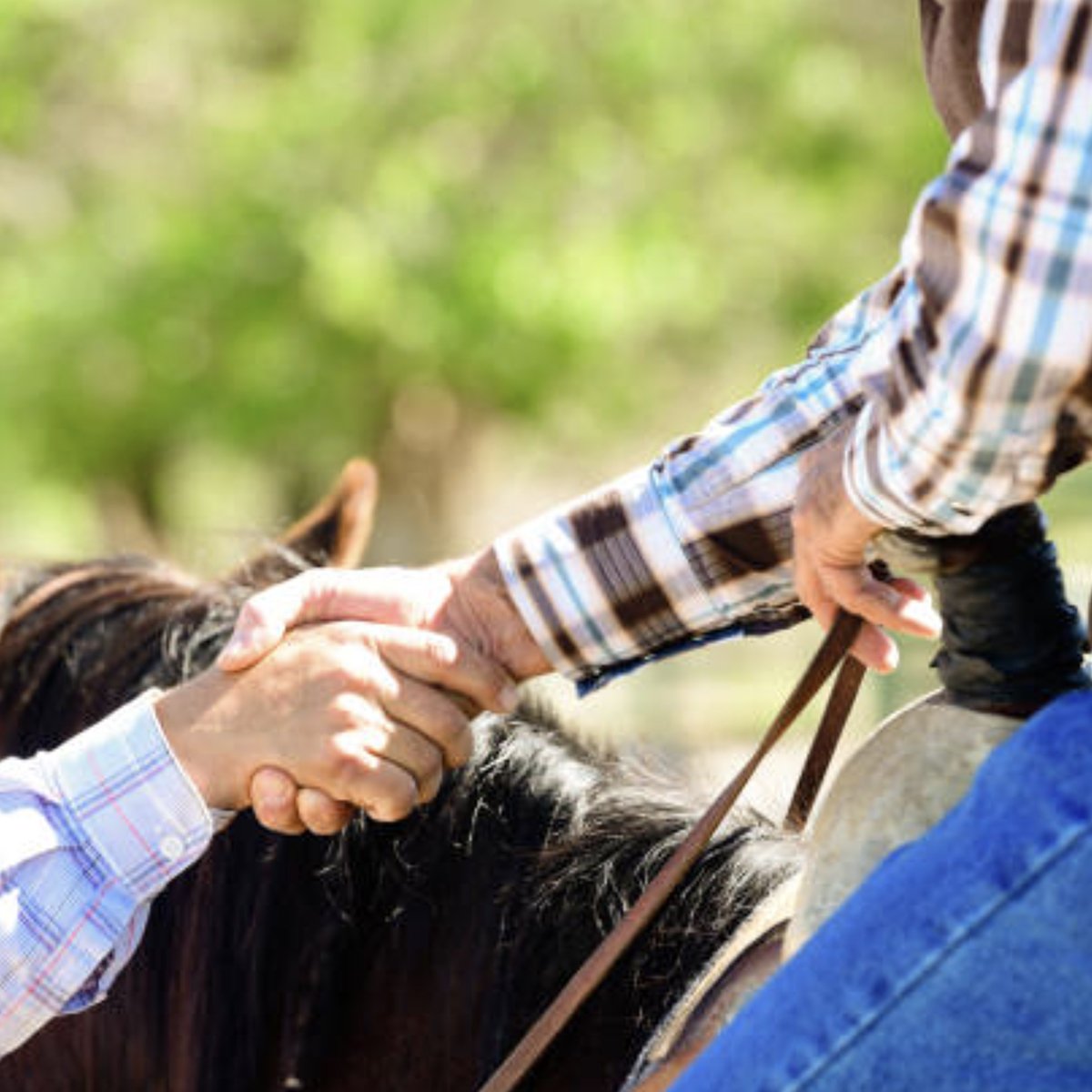 Inner Cash Offer Page img left(1)