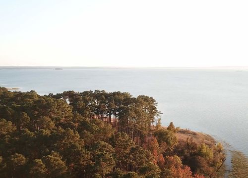 Cole - Angelina County Image