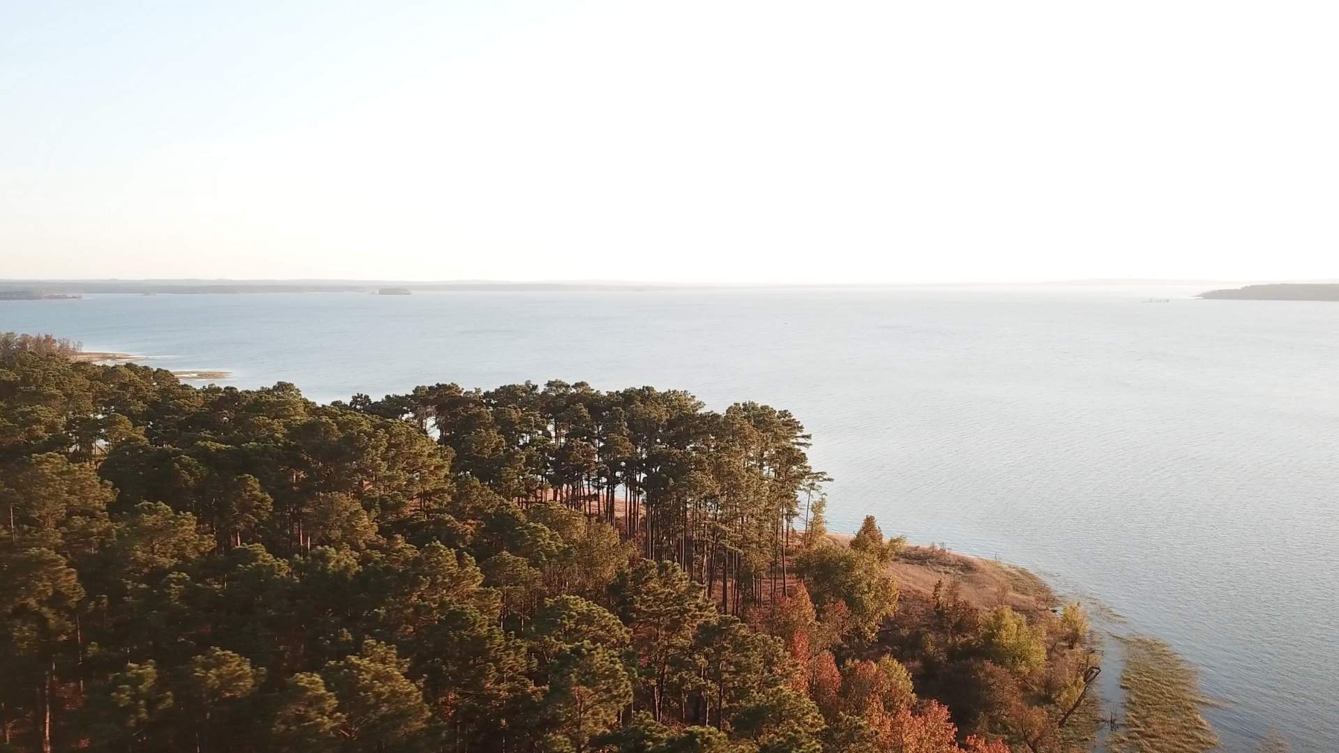 Cole - Angelina County Image