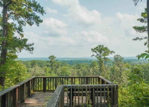 Cole - Houston County Image