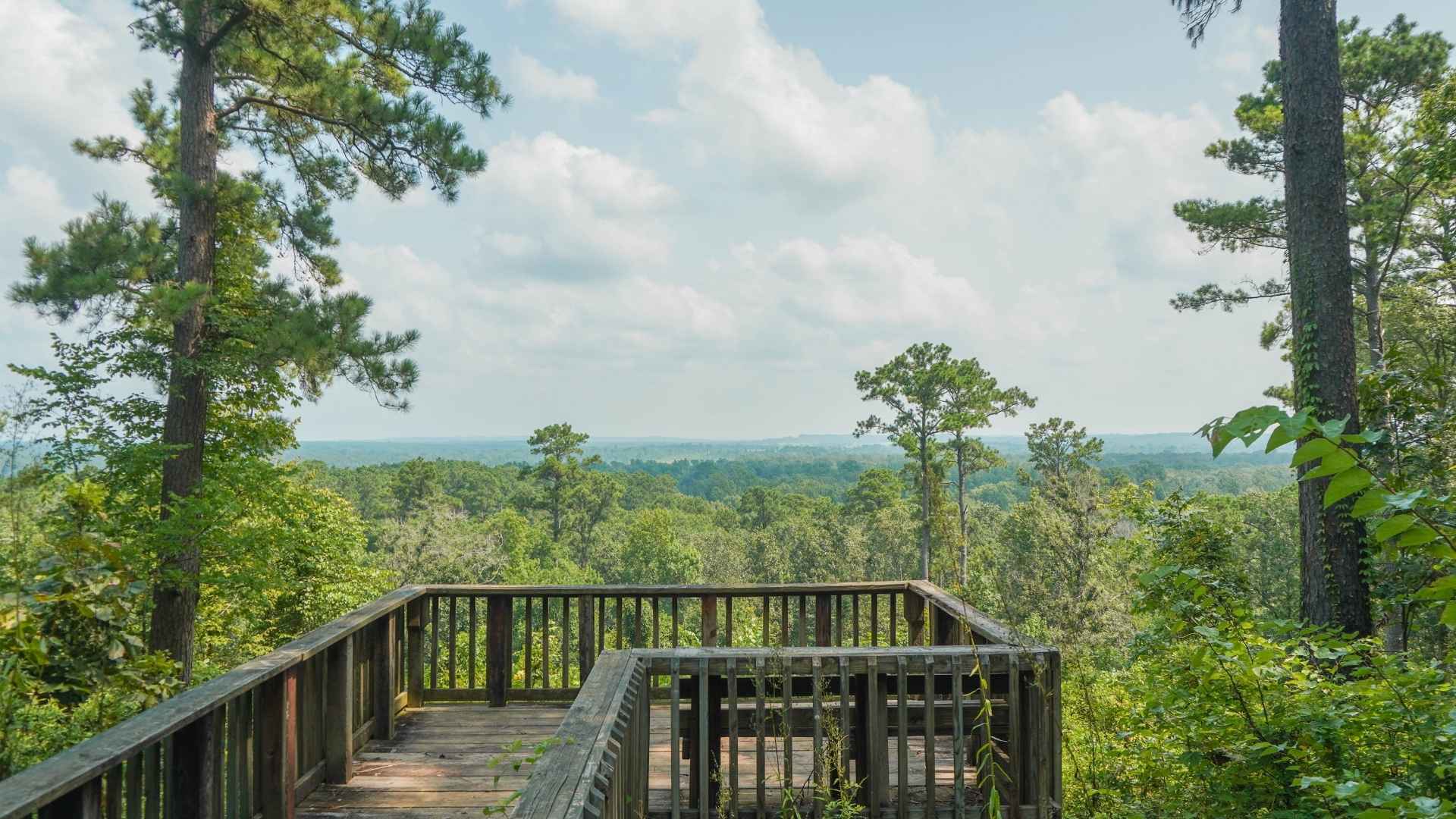 Cole - Houston County Image