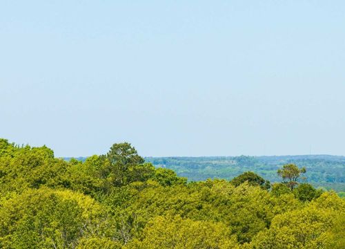 Cole - Rusk County Image