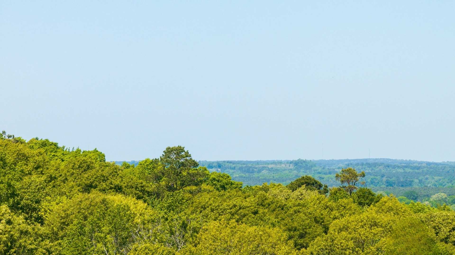 Cole - Rusk County Image