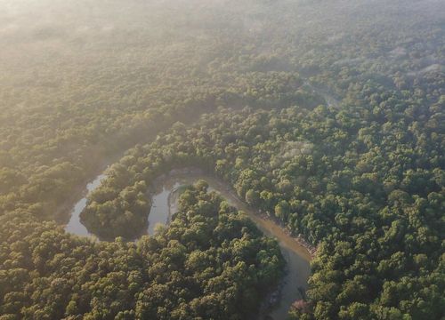 Cole - Tyler County Image