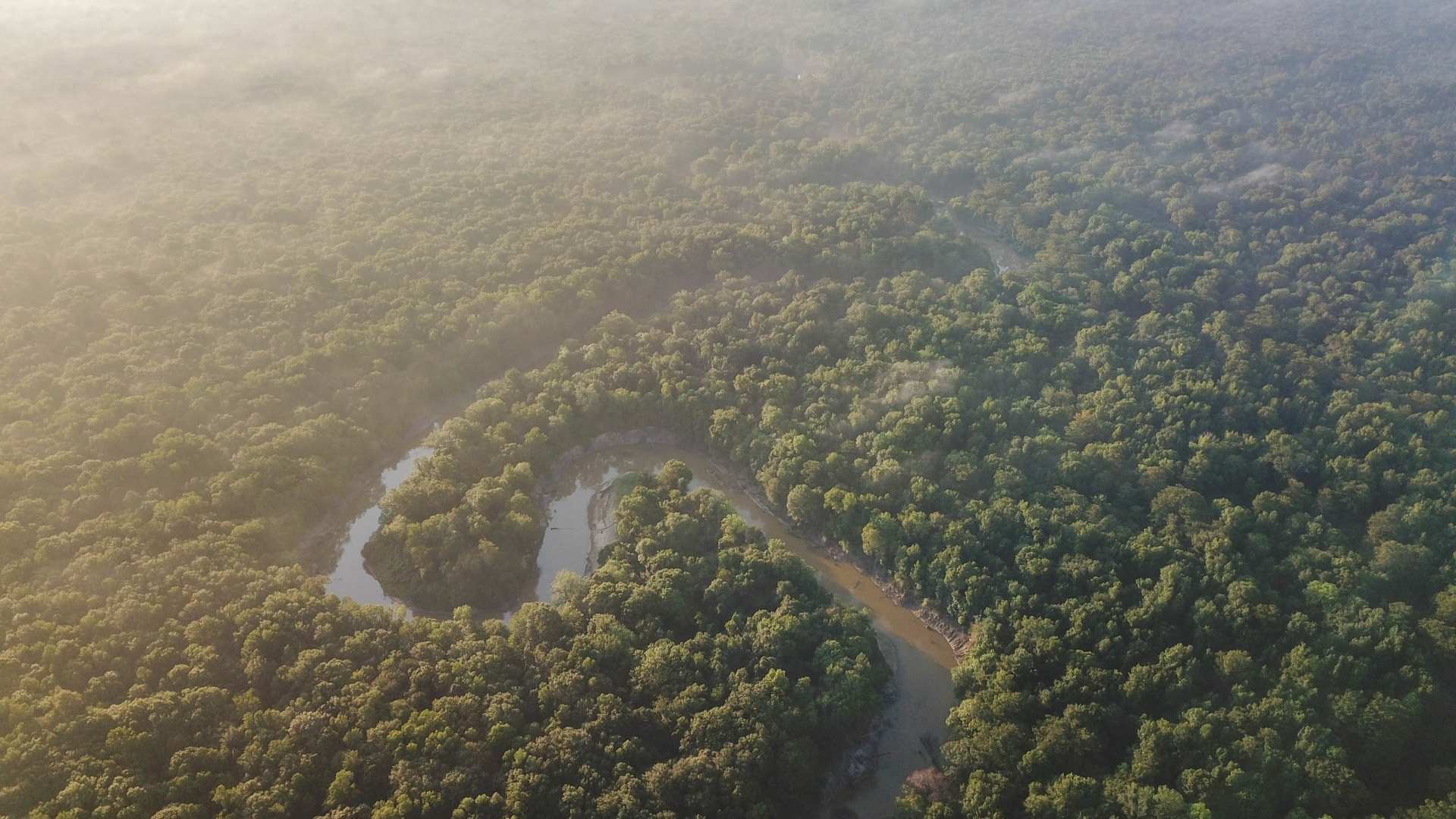 Cole - Tyler County Image