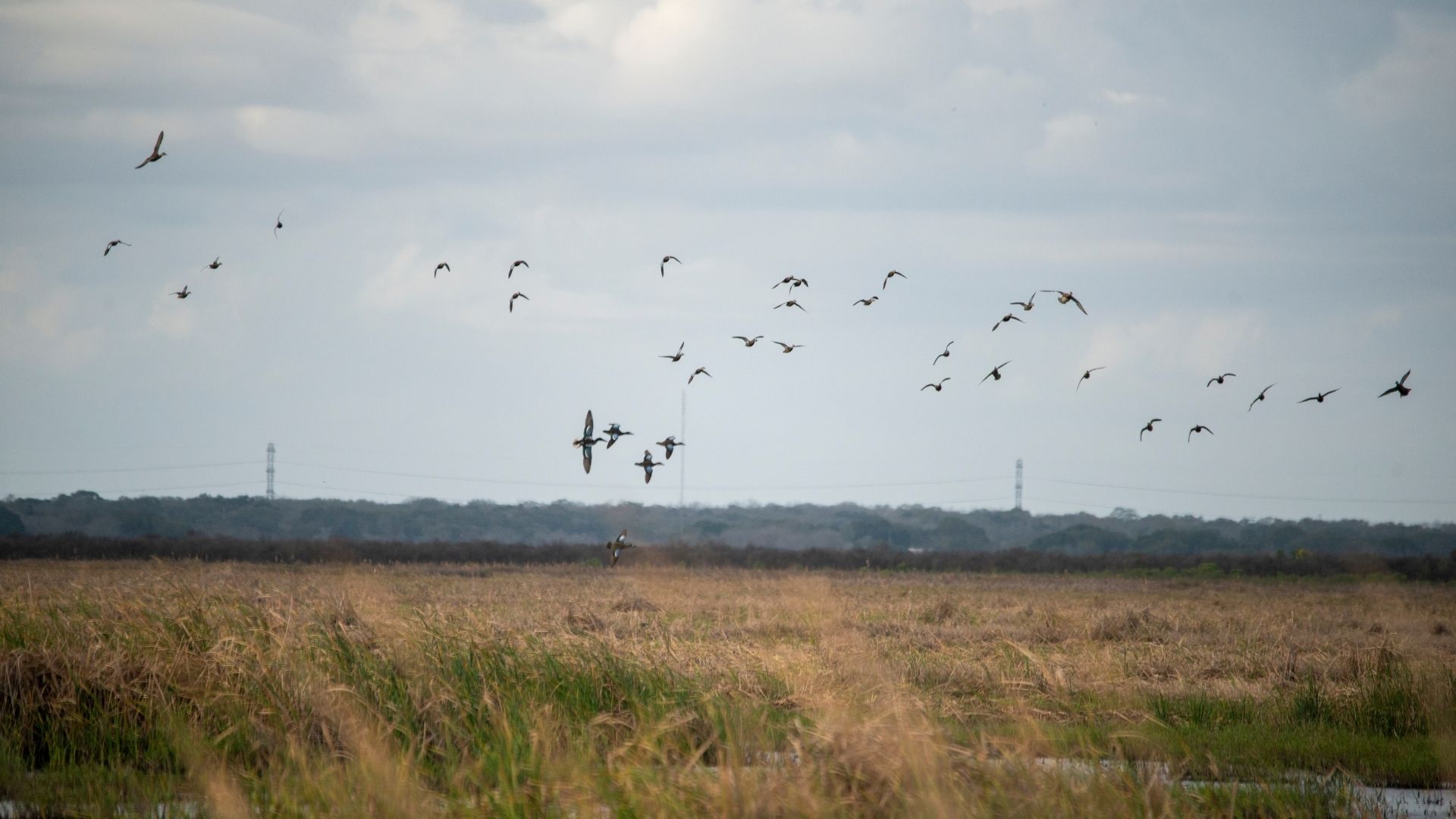 Cole - About Img (1)