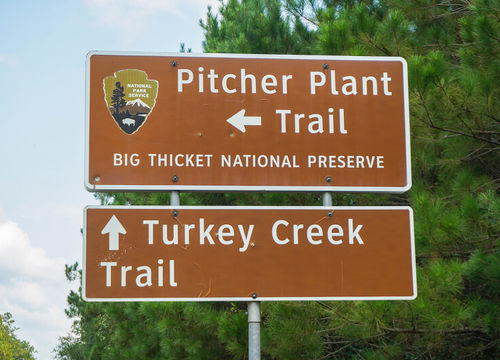 Cole - Hardin County img (1)