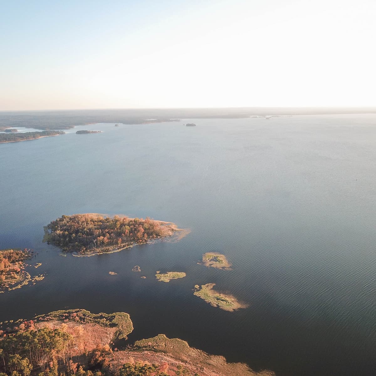 Cole - Jasper County image (1)