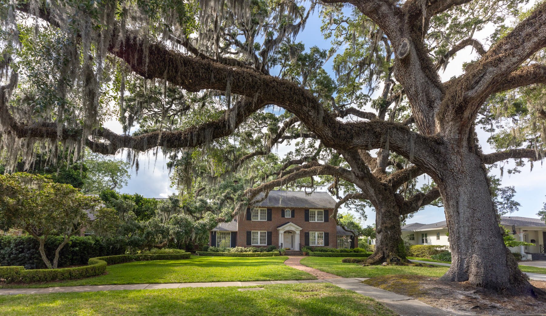 garden-with-tree