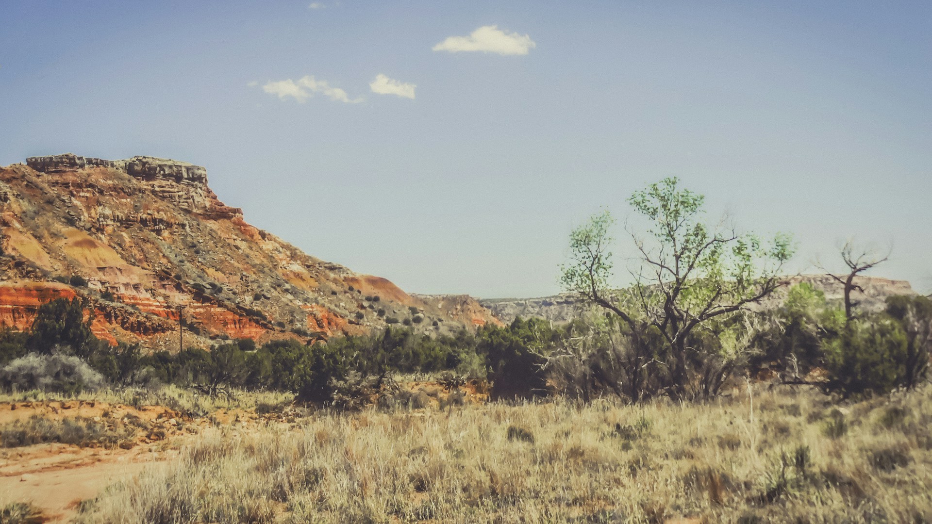 k-mitch-hodge-gB1_z-QXd-Y-unsplash