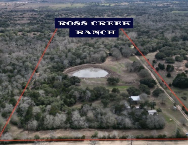 Multicolored Aesthetic Photo Collage Vision Board Flyer Landscape (2)