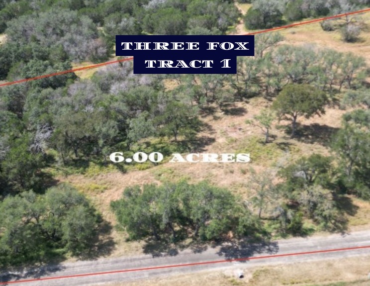 Multicolored Aesthetic Photo Collage Vision Board Flyer Landscape (4)