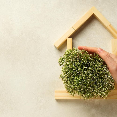 Green Living, Smart Investment: Why Eco-Friendly Homes Matter More Than Ever