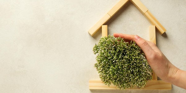 Green Living, Smart Investment: Why Eco-Friendly Homes Matter …