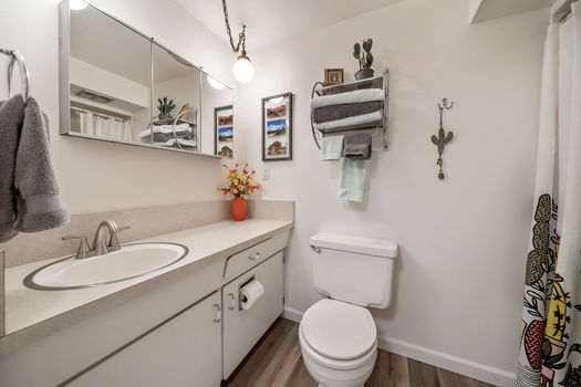 30-web-or-mls-20210 Meadow Ln, Bend (28 of 60)