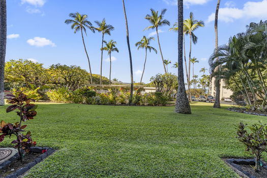 41-web-or-mls-20240219-PAC11163-HDR